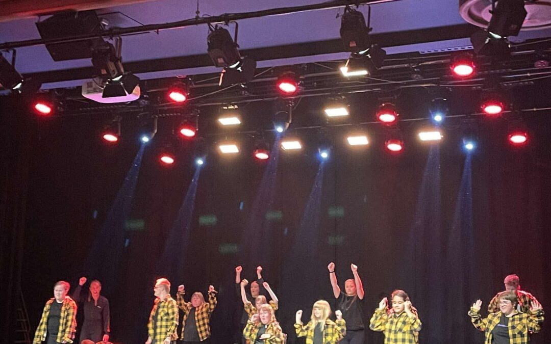 Show för Alla kan dansa!