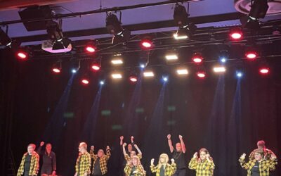 Show för Alla kan dansa!