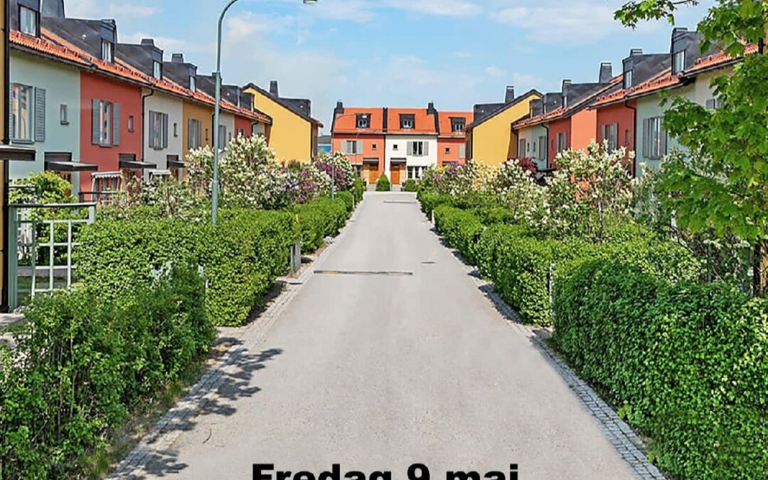 Stora showen – Goda grannar