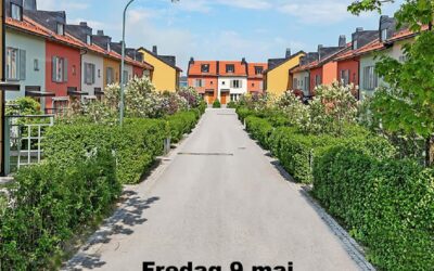 Stora showen – Goda grannar